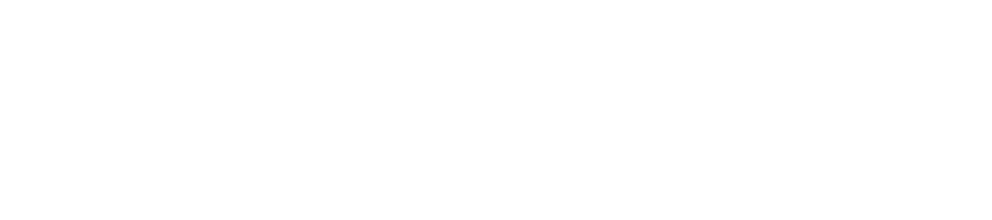 Sec8Guru logo